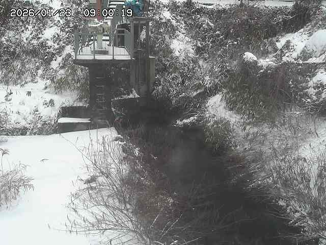 玉川３（上流）2026/01/24 3:00:00