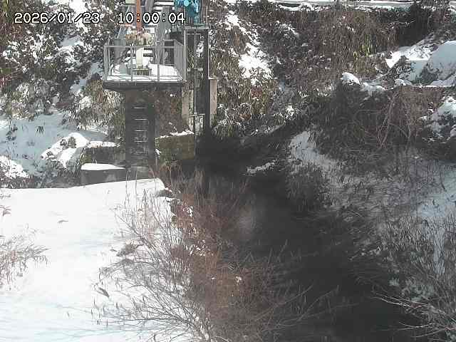 玉川３（上流）2026/01/24 3:00:00