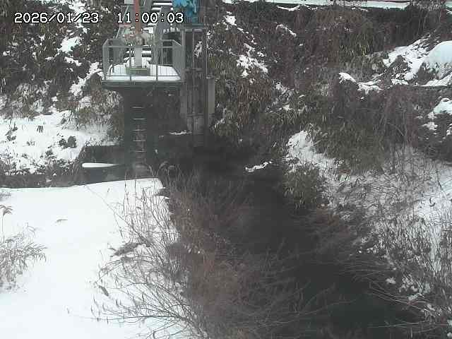 玉川３（上流）2026/01/24 3:00:00