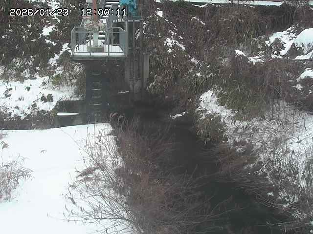 玉川３（上流）2026/01/24 3:00:00