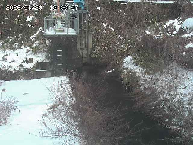 玉川３（上流）2026/01/24 3:00:00