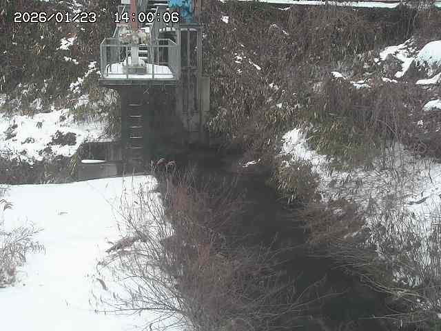 玉川３（上流）2026/01/24 3:00:00