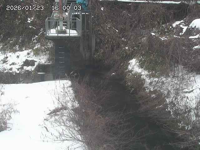 玉川３（上流）2026/01/24 3:00:00