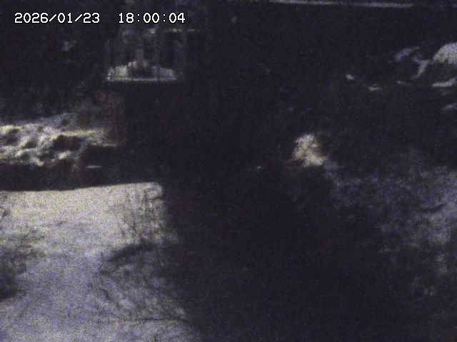 玉川３（上流）2026/01/24 3:00:00