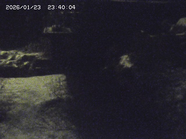 玉川３（上流）2026/01/24 3:00:00