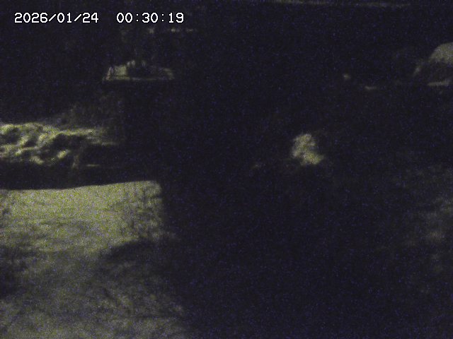 玉川３（上流）2026/01/24 3:00:00