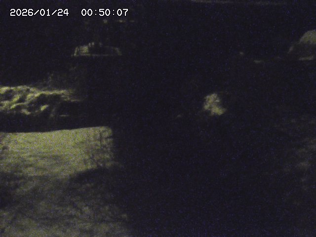 玉川３（上流）2026/01/24 3:00:00