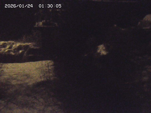 玉川３（上流）2026/01/24 3:00:00