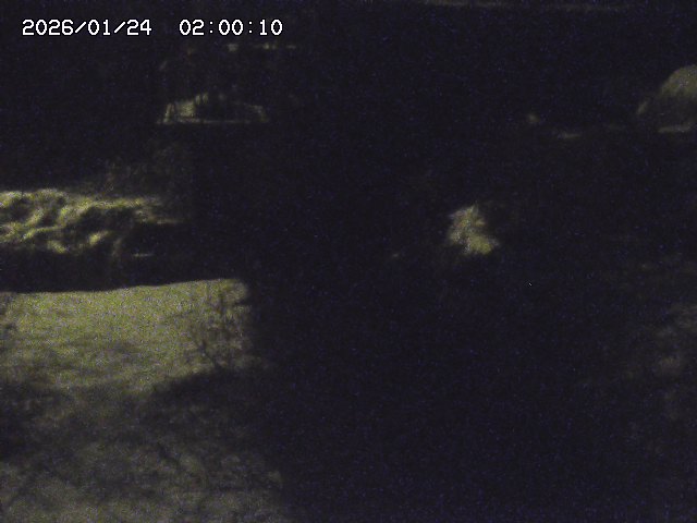 玉川３（上流）2026/01/24 3:00:00