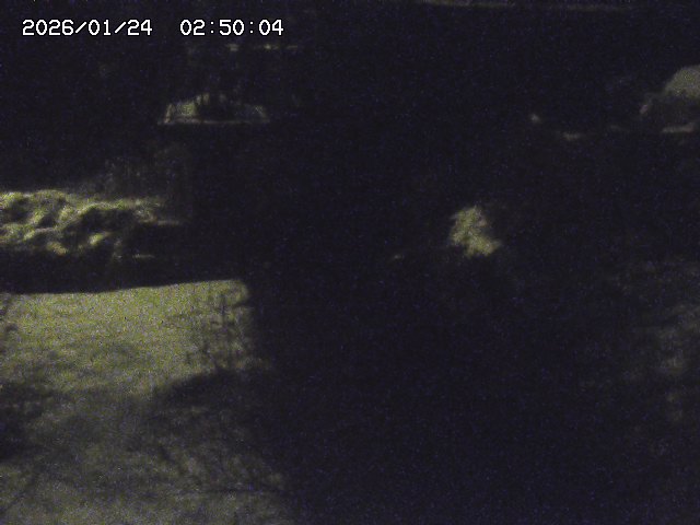 玉川３（上流）2026/01/24 3:00:00