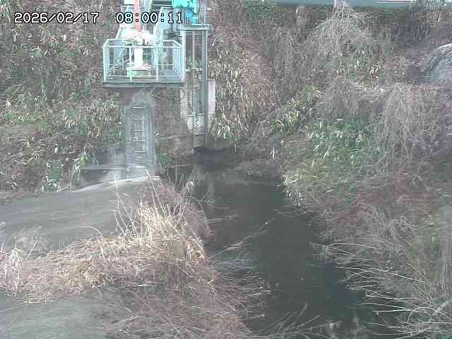 玉川３（上流）2026/02/17 18:30:00