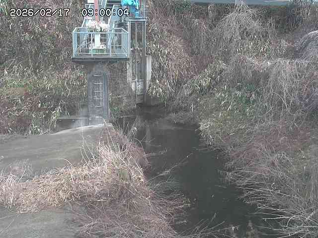 玉川３（上流）2026/02/17 18:30:00