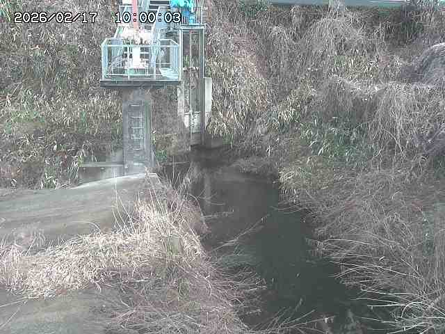 玉川３（上流）2026/02/17 18:30:00