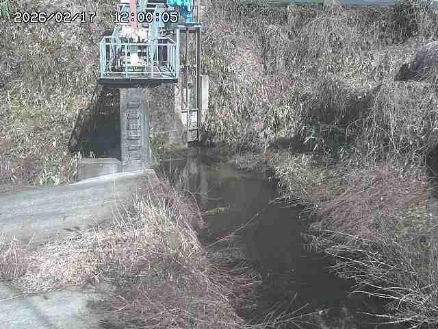玉川３（上流）2026/02/17 18:30:00