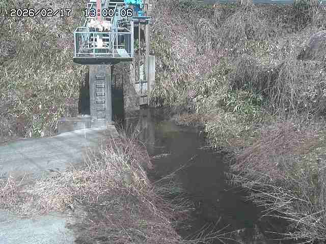 玉川３（上流）2026/02/17 18:30:00