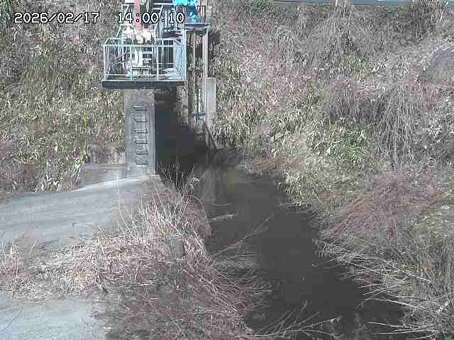 玉川３（上流）2026/02/17 18:30:00