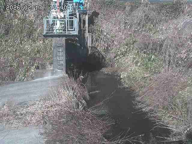 玉川３（上流）2026/02/17 18:30:00