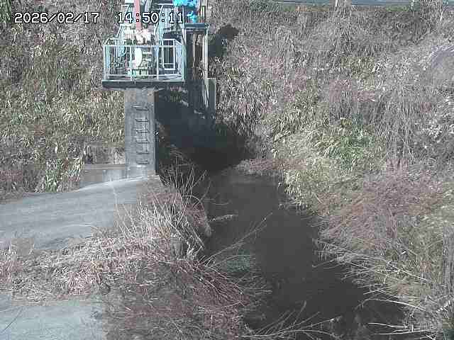 玉川３（上流）2026/02/17 18:30:00