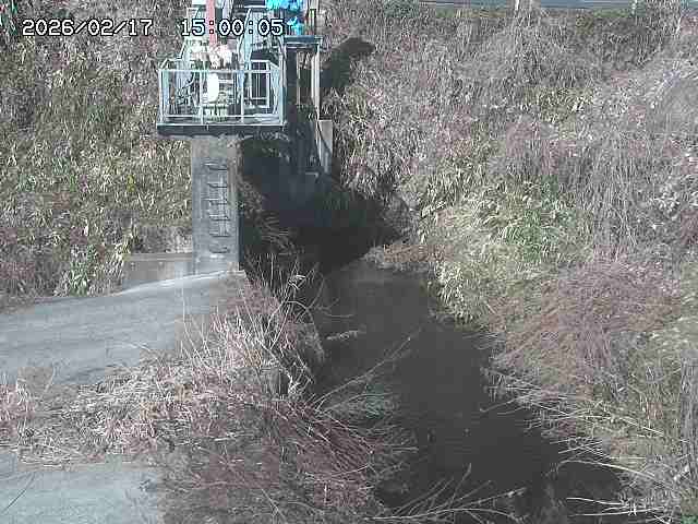 玉川３（上流）2026/02/17 18:30:00