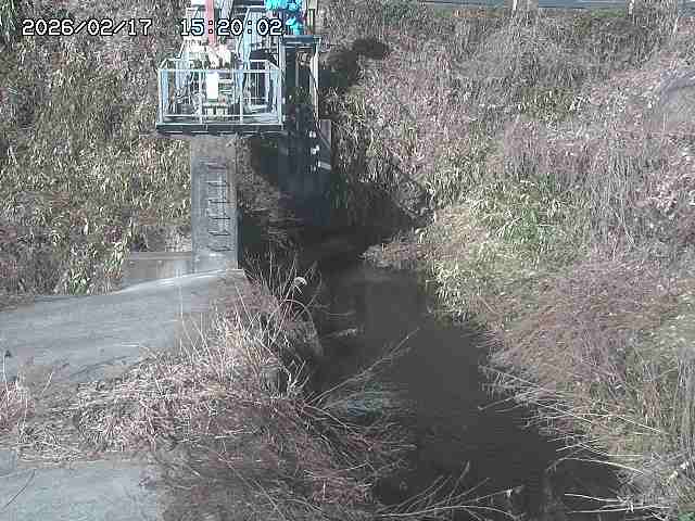 玉川３（上流）2026/02/17 18:30:00