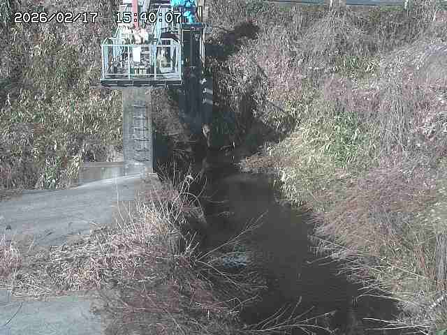 玉川３（上流）2026/02/17 18:30:00