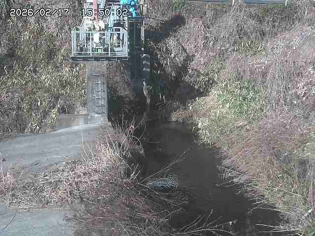玉川３（上流）2026/02/17 18:30:00