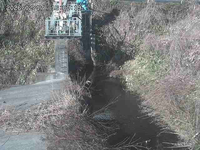 玉川３（上流）2026/02/17 18:30:00