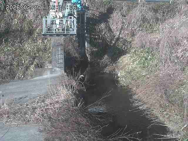玉川３（上流）2026/02/17 18:30:00