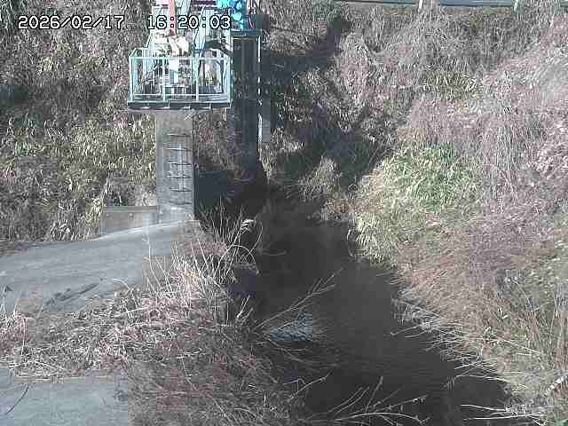 玉川３（上流）2026/02/17 18:30:00
