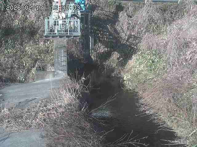 玉川３（上流）2026/02/17 18:30:00