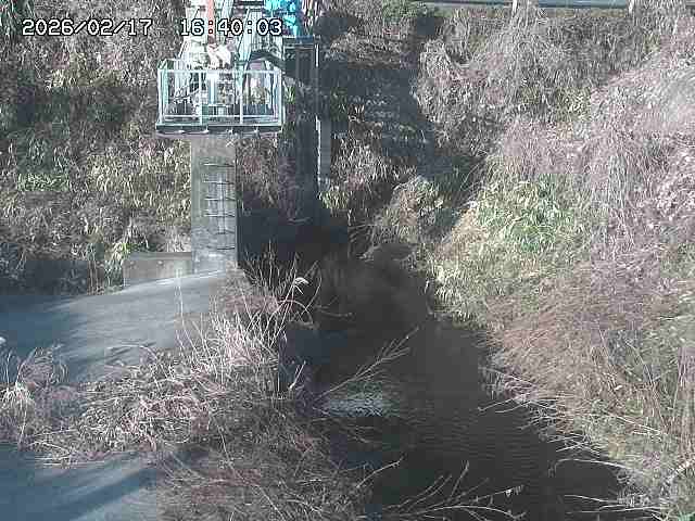 玉川３（上流）2026/02/17 18:30:00