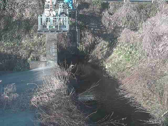 玉川３（上流）2026/02/17 18:30:00