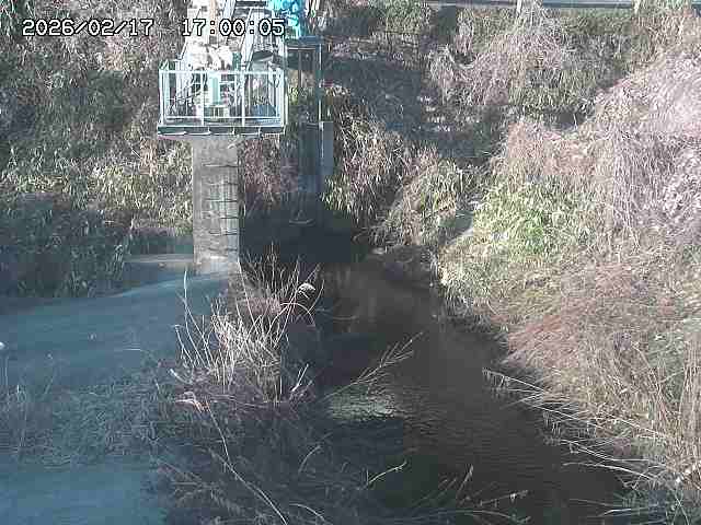 玉川３（上流）2026/02/17 18:30:00