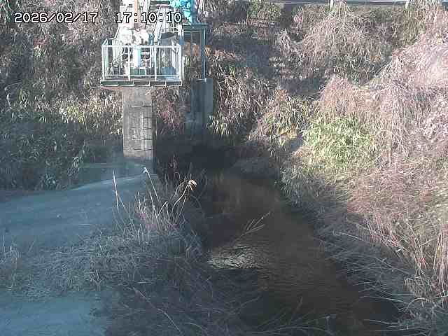 玉川３（上流）2026/02/17 18:30:00