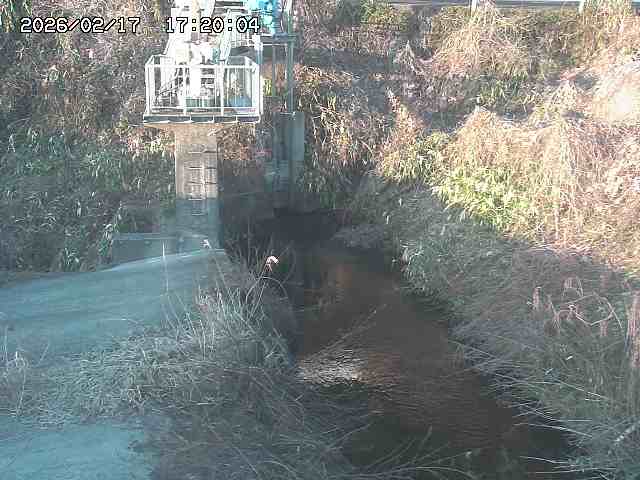 玉川３（上流）2026/02/17 18:30:00