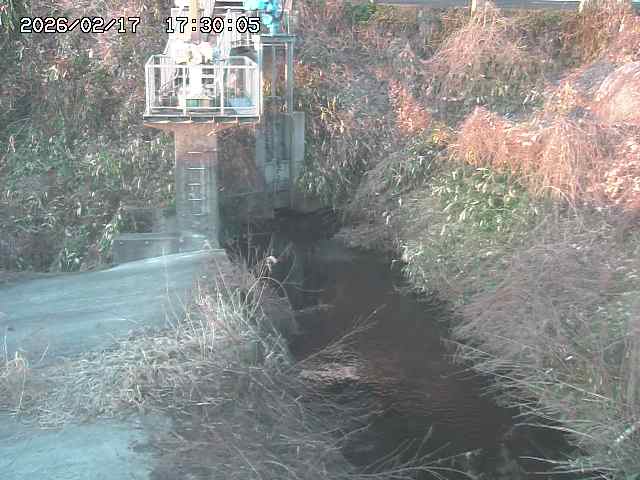 玉川３（上流）2026/02/17 18:30:00