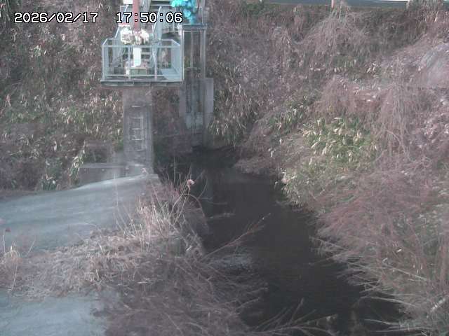 玉川３（上流）2026/02/17 18:30:00