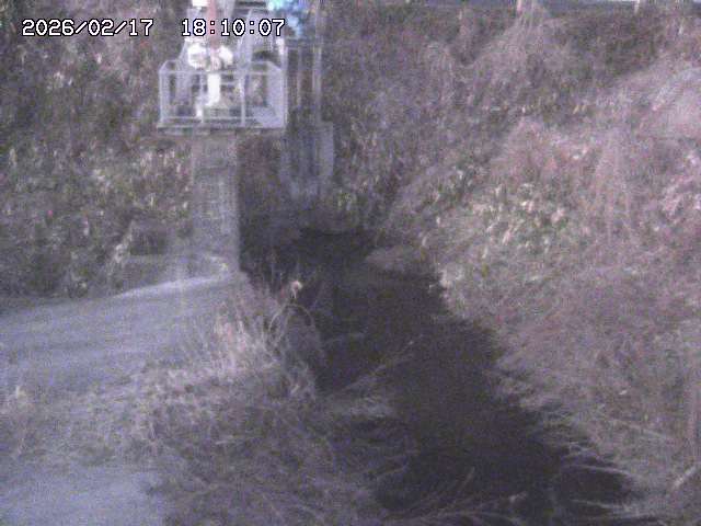 玉川３（上流）2026/02/17 18:30:00