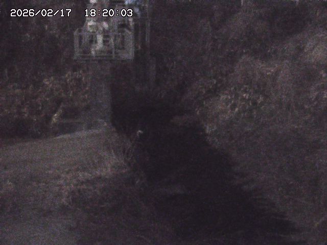 玉川３（上流）2026/02/17 18:30:00