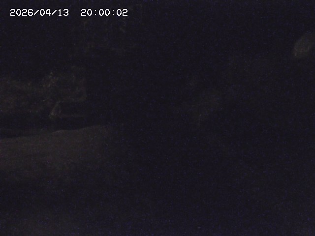 玉川３（上流）2026/04/14 17:00:00