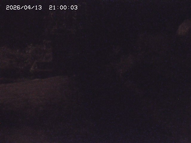 玉川３（上流）2026/04/14 17:00:00