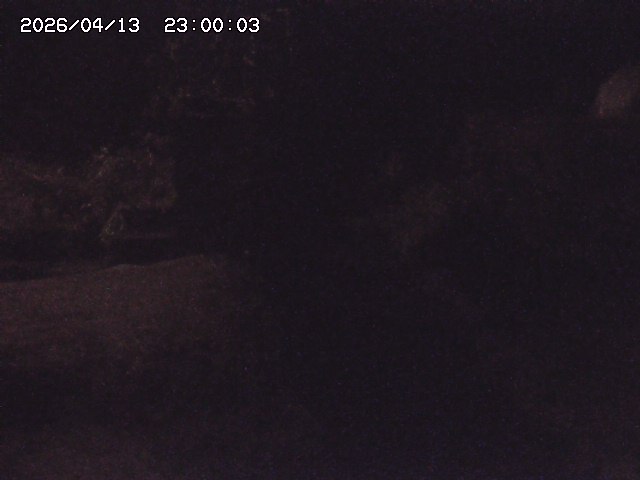 玉川３（上流）2026/04/14 17:00:00