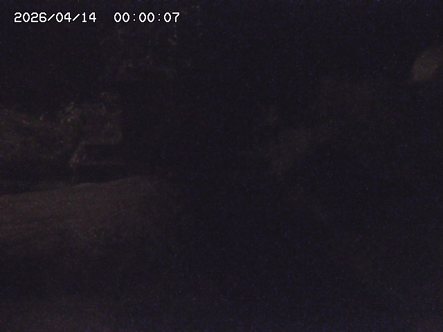 玉川３（上流）2026/04/14 17:00:00