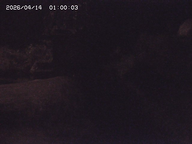 玉川３（上流）2026/04/14 17:00:00