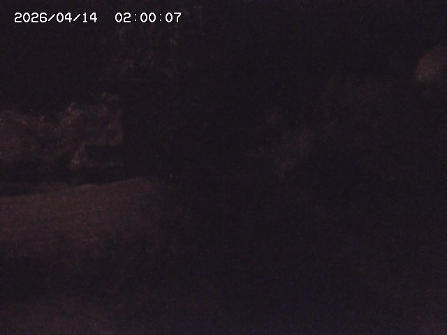 玉川３（上流）2026/04/14 17:00:00