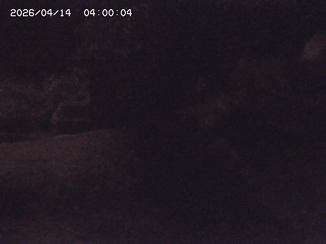 玉川３（上流）2026/04/14 17:00:00