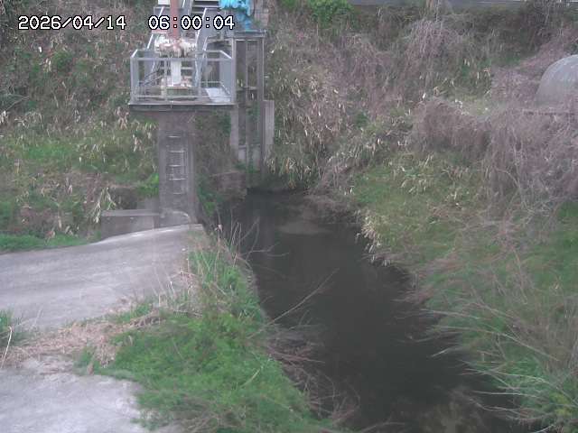 玉川３（上流）2026/04/14 17:00:00