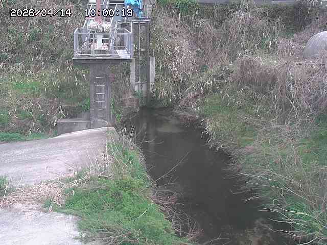 玉川３（上流）2026/04/14 17:00:00