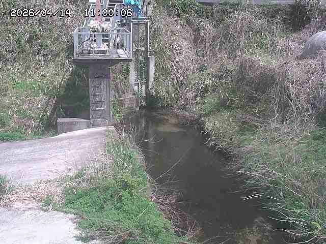 玉川３（上流）2026/04/14 17:00:00