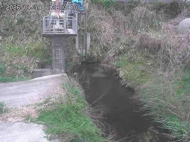 玉川３（上流）2026/04/14 17:00:00